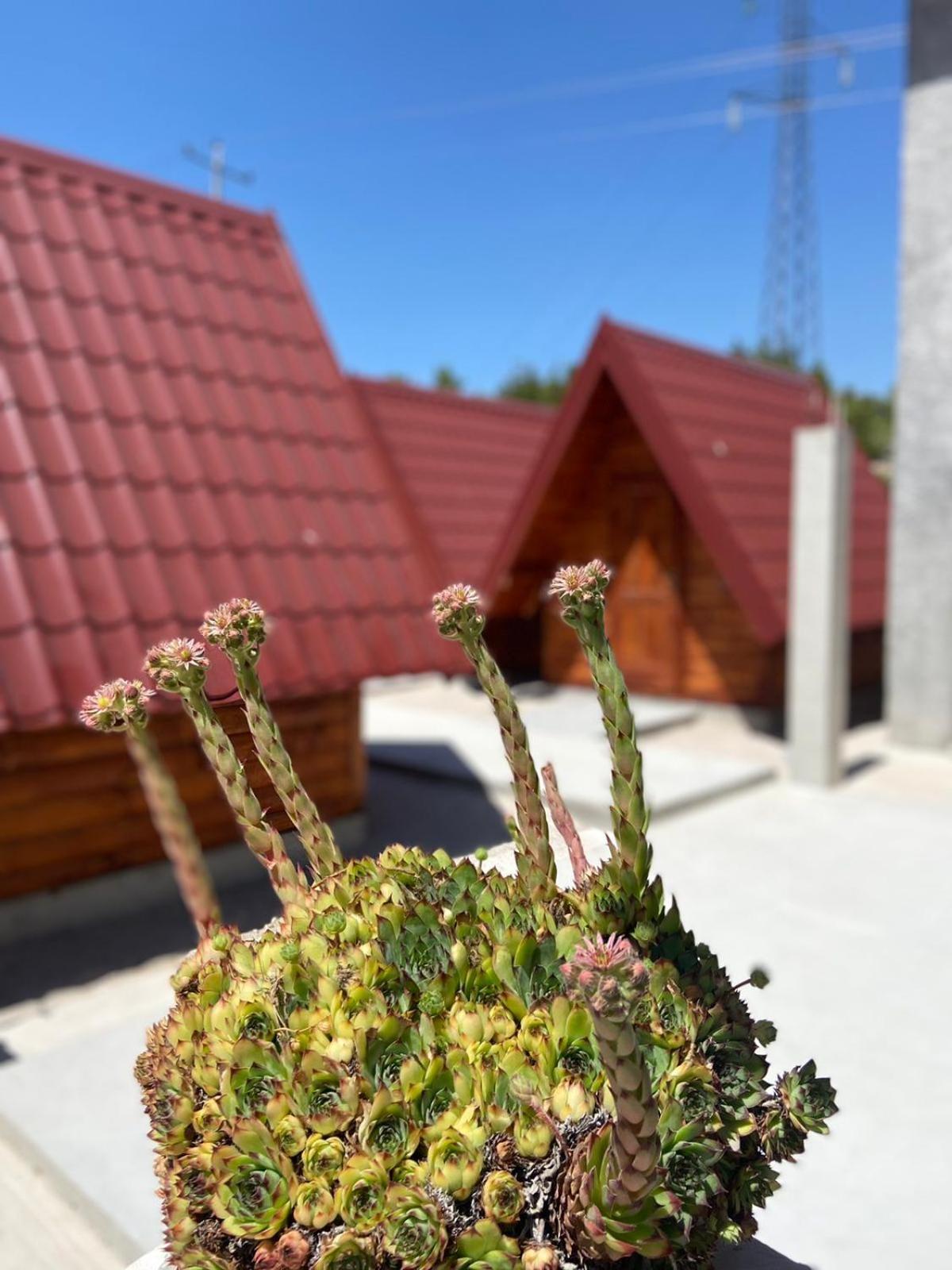 Rural Tourism/Ruralni Turizam Kisin Hotel Trebinje Luaran gambar